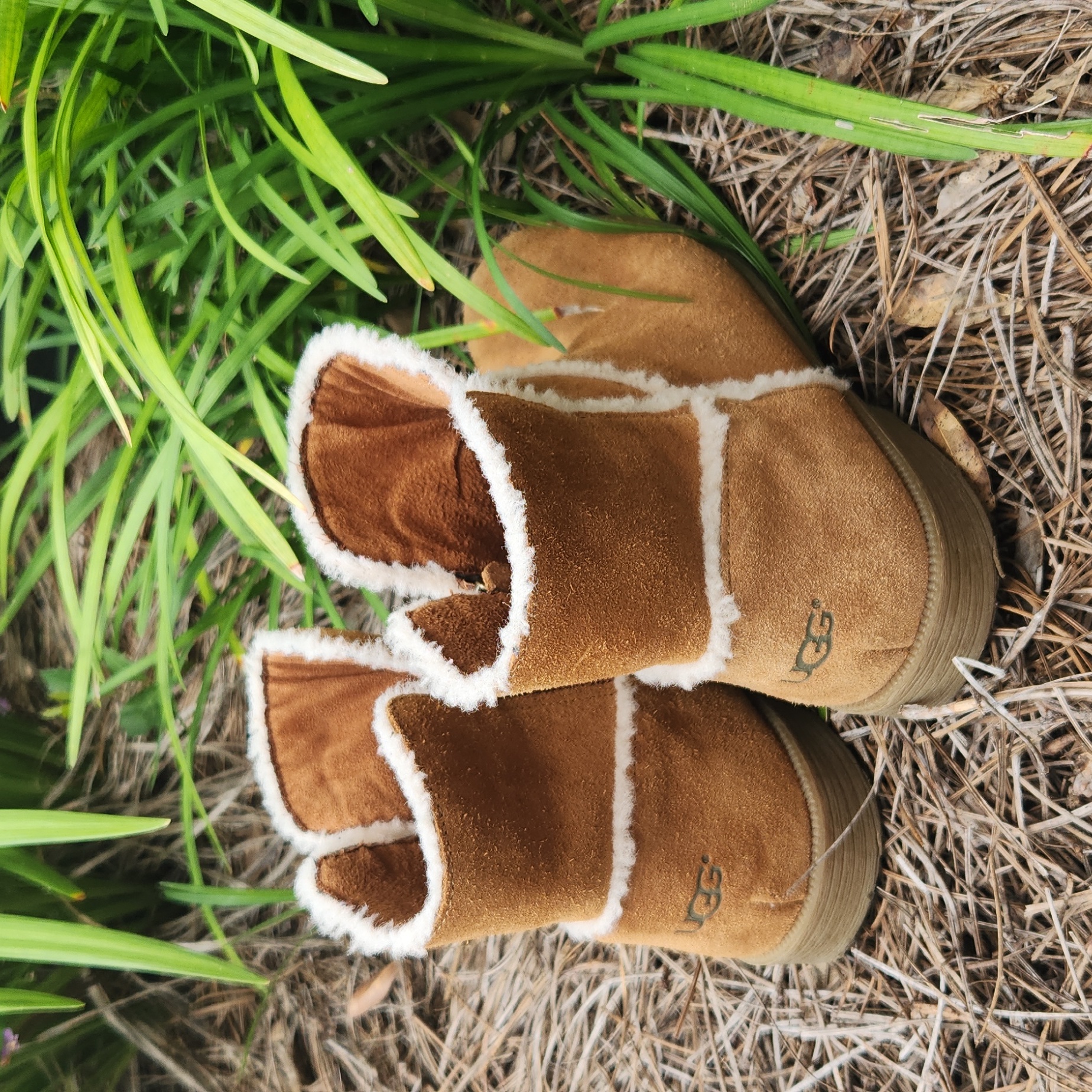 Ugg Coletta Boots Ugg Australia